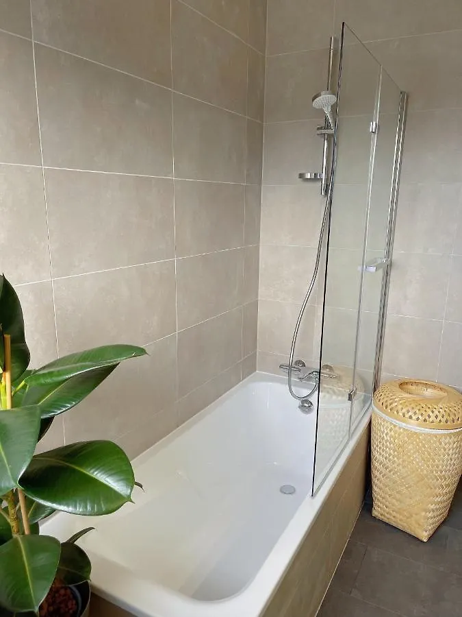 Appartement Tres Cosy A 5 Min Aeroport Geneve Ferney-Voltaire Apartment