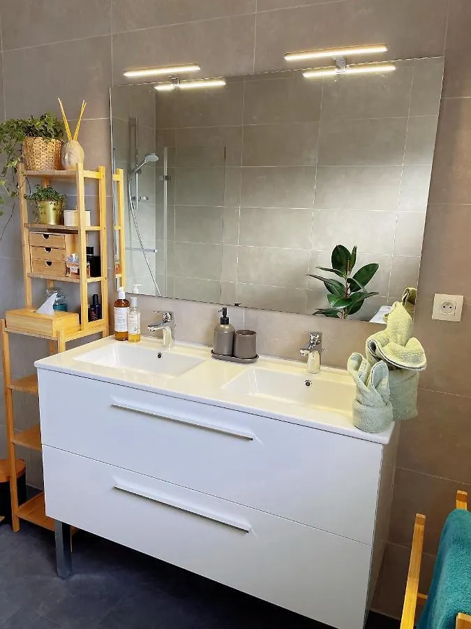 Appartement Tres Cosy A 5 Min Aeroport Geneve Ferney-Voltaire 0*,  France